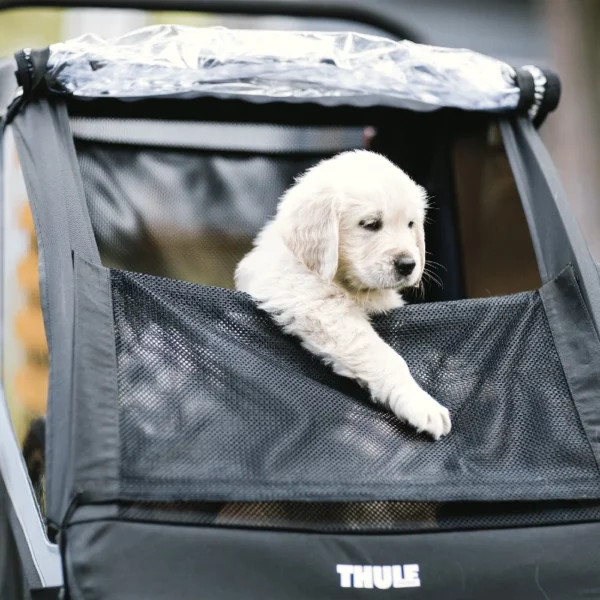 Thule Courier – Image 5