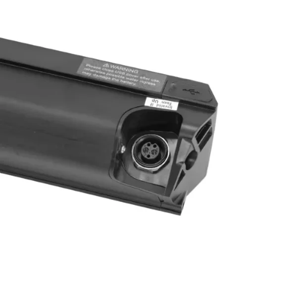 Batterie vélo électrique Leader Fox Zz250 – Image 2
