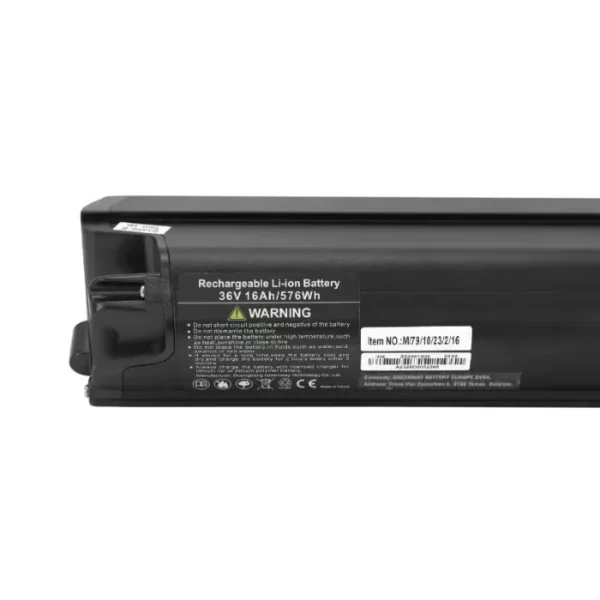 Batterie vélo électrique Leader Fox Zz250 – Image 3